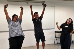 Group performance by workshop participants